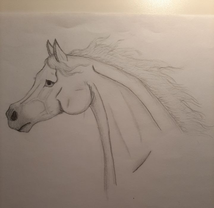 Handdrawn of Arabian Horse Sketch with Pen in Vector Format. EPS 10 Stock  Vector - Illustration of animals, vector: 242761006