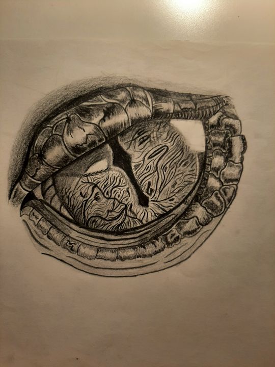 cool dragon eye drawings