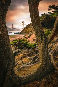 Window to the Golden Gate Bridge