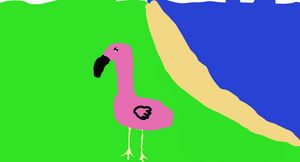 Flamingo Guy