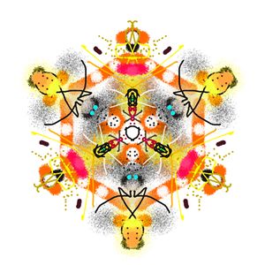 Kaleidoscope Specimen N°5