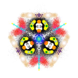 Kaleidoscope Specimen N°10