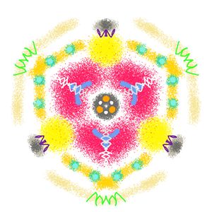 Kaleidoscope Specimen N°13