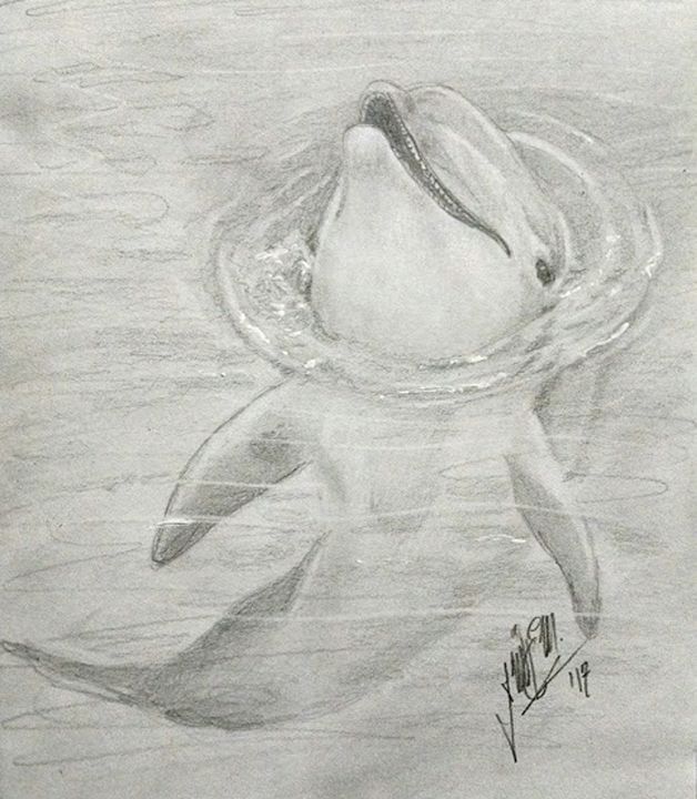 Dolphin Tlachinoihuitl Yoe Drawings Illustration