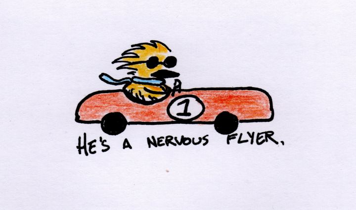 Nervous Flyer - Yacky Art