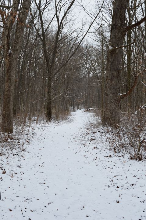 Winter Trail - Sam Glidewell