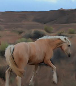 Aneth Horse