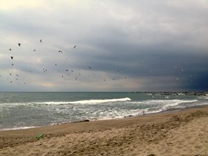 Seaside Storm