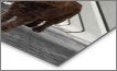dark chocolate cockapoo p4 - Dog Designs - Photography, Animals, Birds ...