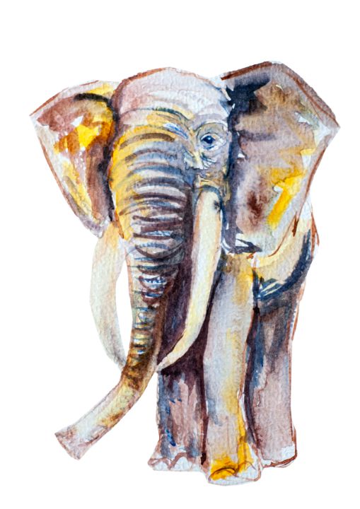 Elephant 60*90 double 60*90 Double Watercolour Prints Paintings