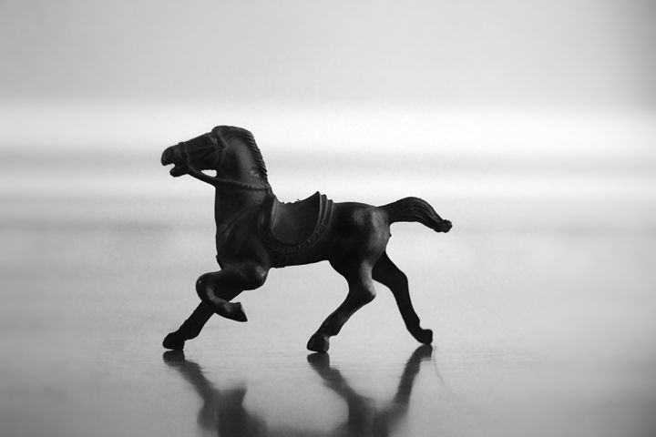 Toy Horse in Black and White - Kelly Hazel