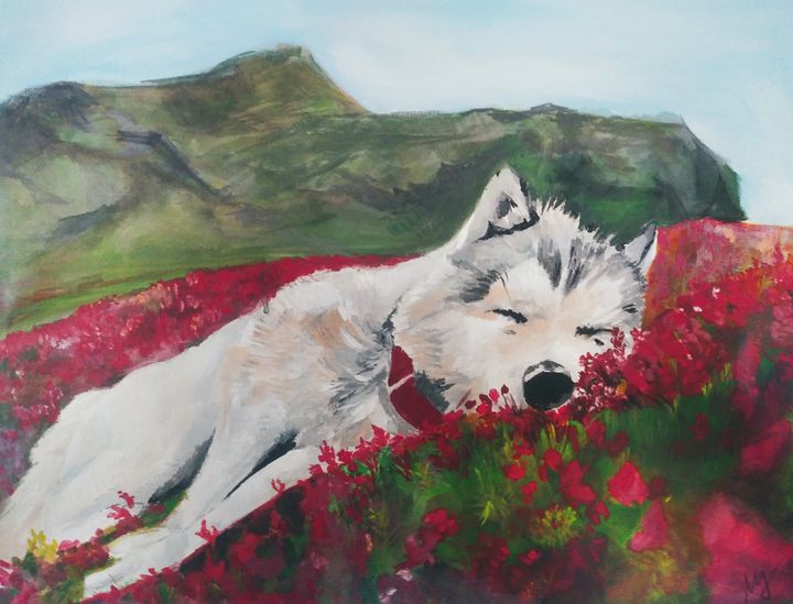 Sleeping dog on a field ColorPop Paintings Prints Animals