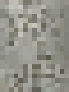 Sexual illusion