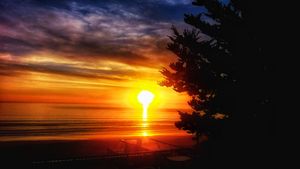 Santa Cruz views