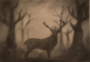 Shadowed deer