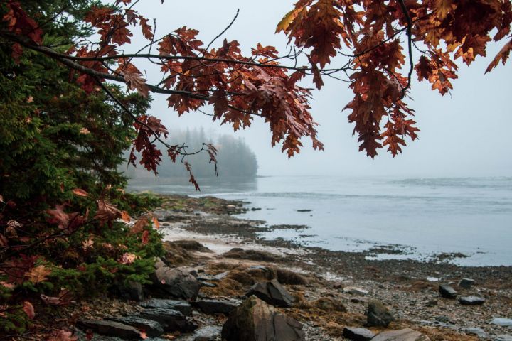 Fall in Maine - Dark Dreamer Photography