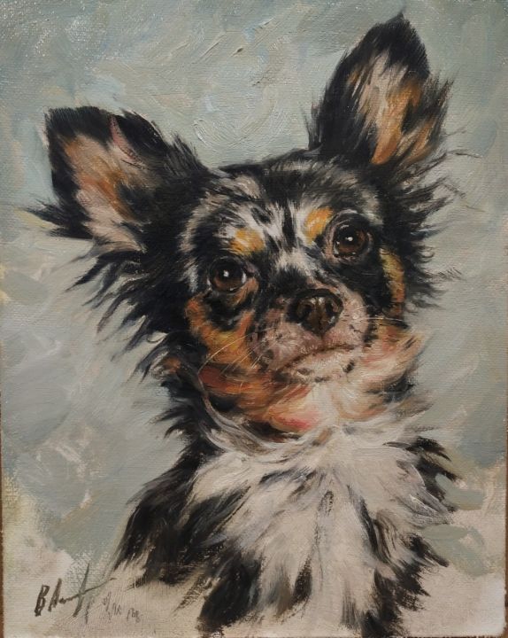 Portrait Of A Chihuahua-papillon Mix - Framed Print by