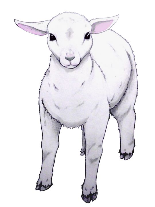 Sweet Lamb - Foalfire Arts