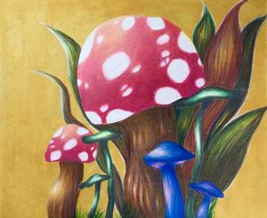 Mushroom Variations