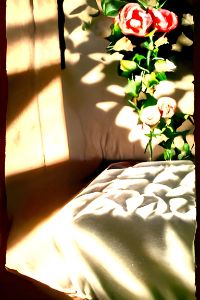 Roses In The Sunlight