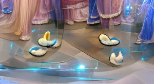 Cinderella's Glass Slippers