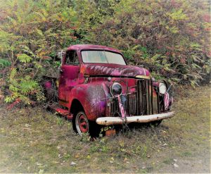 Antique Truck Overgrown