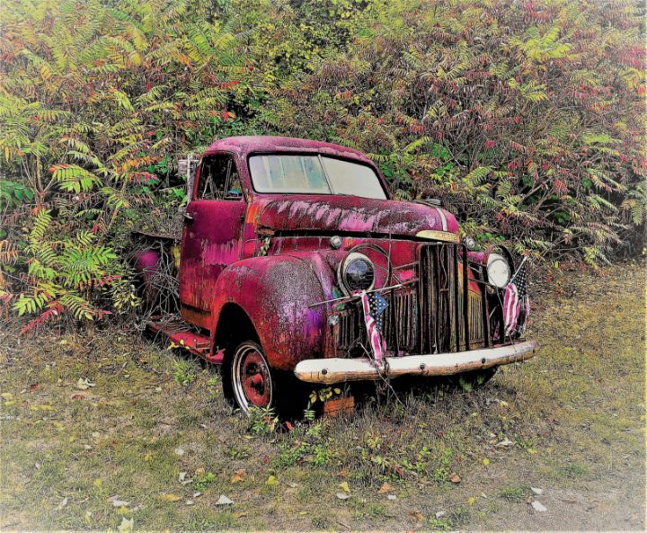 Antique Truck Overgrown - Patrick Aubuchon Photographer