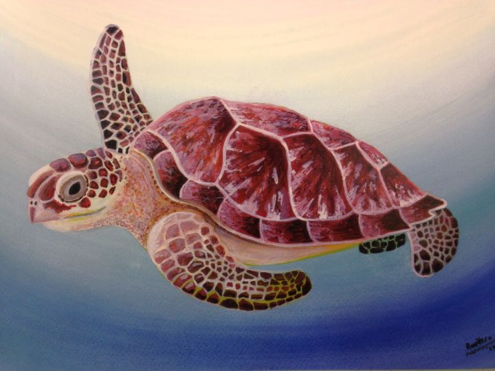 Sea turtle - Machokidd