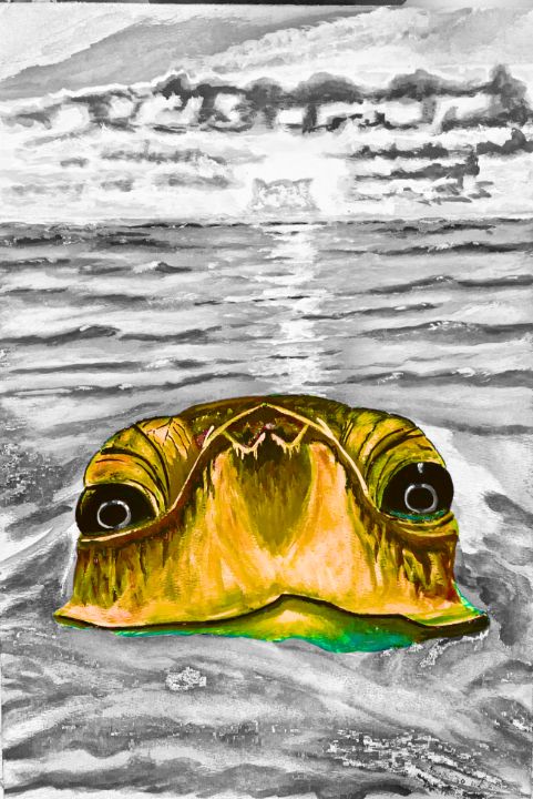 Sea turtle - Machokidd