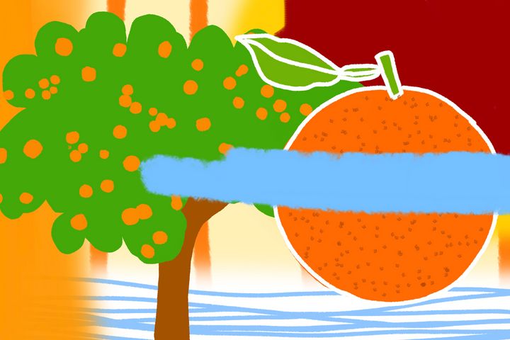 Orange Marmalade - Jaymie Metz Fine Art