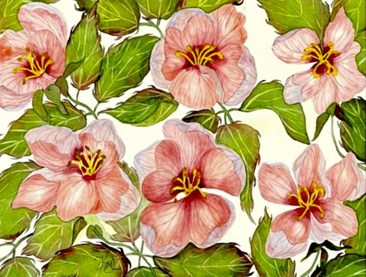 Apple Blossom Flowers Peach Pink - Watercolor Paintings Studio ...