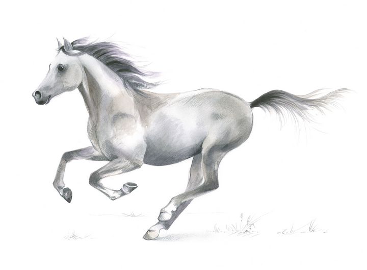 Galloping horse Drawing by See Yuan Cheng | Saatchi Art