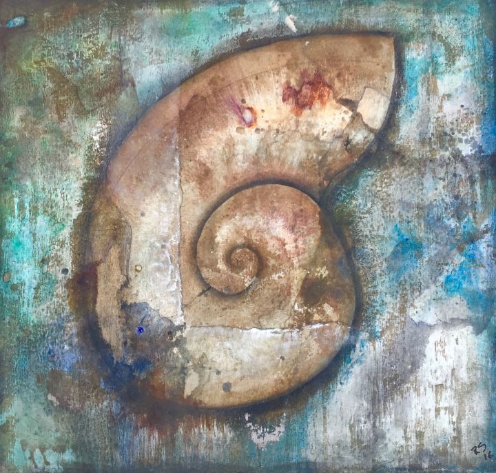 Nautilus shell 1 - Rigel Sauri