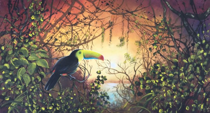 Toucan sunset - Rigel Sauri