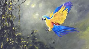 Macaw landing