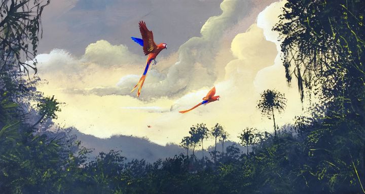 "Flying macaws". - Rigel Sauri