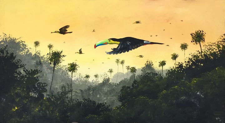 "Toucans flight". - Rigel Sauri