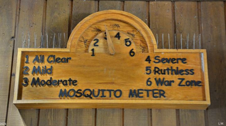 Humorous Meter Signs Mosquito Meter - Lisa Wooten Photography - Photography, Humor & Satire ...