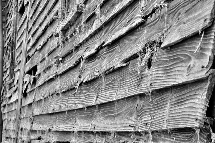 Wood Planks Abstract Black And White - Lisa Wooten Photography