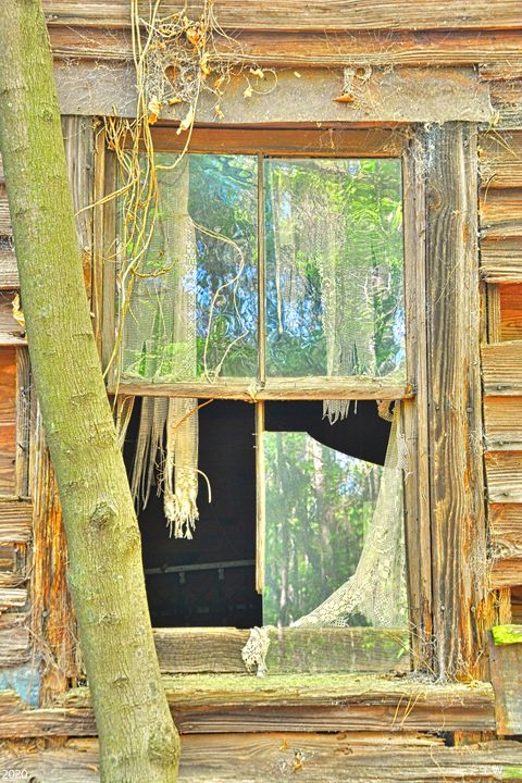 A Look Into The Past Vertical - Lisa Wooten Photography