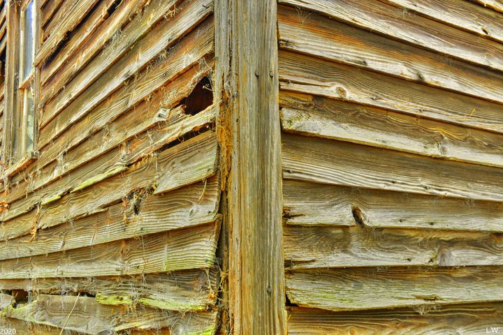 Wood Planks Abstract 2 - Lisa Wooten Photography