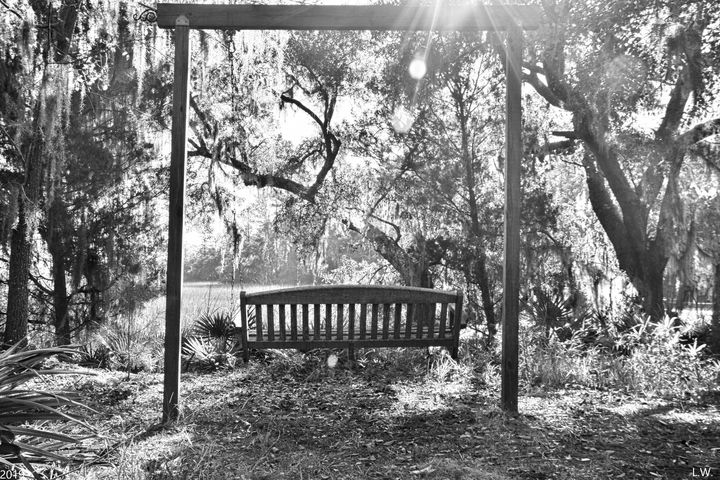 Swinging In Paradise Black And White - Lisa Wooten Photography
