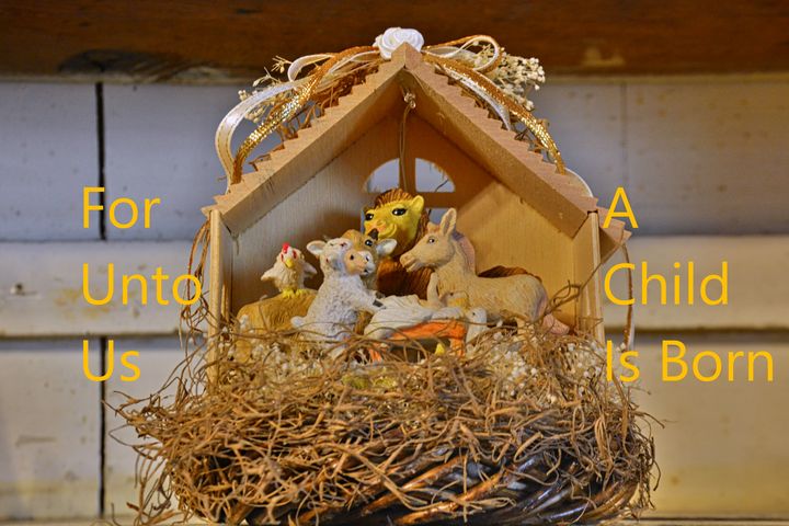 For Unto Us A Child Is Born - Lisa Wooten Photography