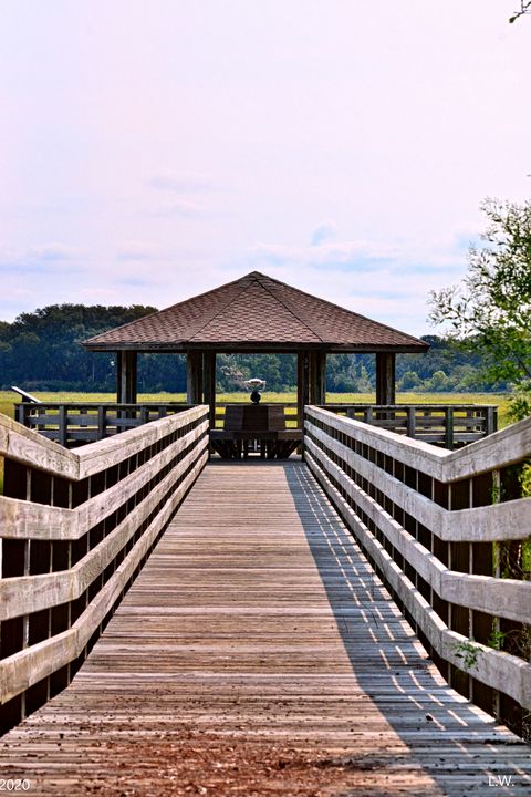 A Lowcountry Stroll To The Pavilion - Lisa Wooten Photography