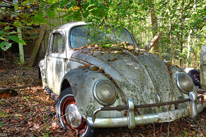 Abandoned Volkswagen Beetle - Lisa Wooten Photography