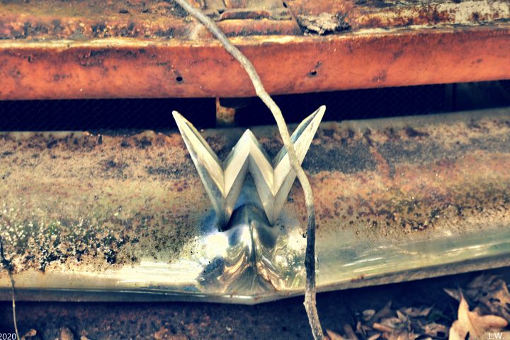 W In Chrome - Lisa Wooten Photography