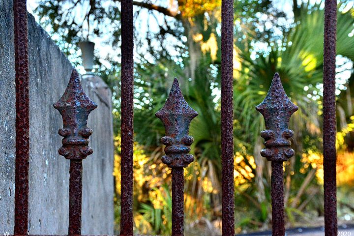 DuBignon Cemetery Gate Jekyll Island - Lisa Wooten Photography