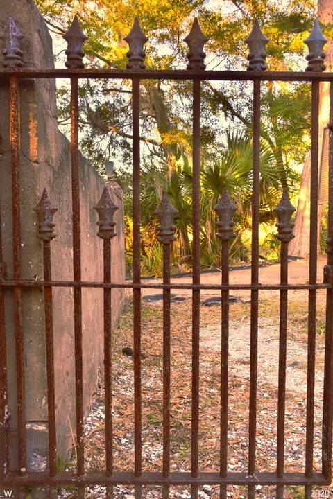 DuBignon Cemetery Gate Jekyll Island - Lisa Wooten Photography