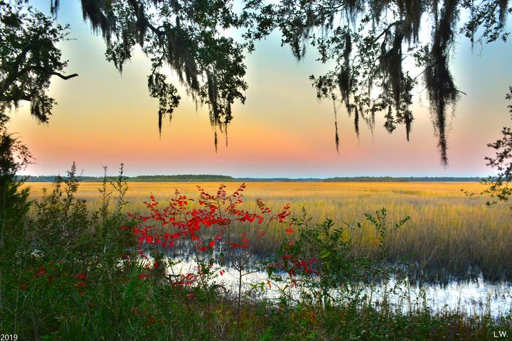 Sunset On The Marsh - Lisa Wooten Photography