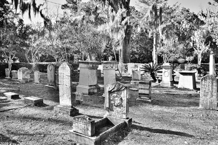Christ Church Cemetery St. Simons Ga - Lisa Wooten Photography